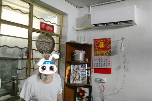 小改造 托起 大幸福 洗澡如廁 室內行走 居家環(huán)境 都考慮到了