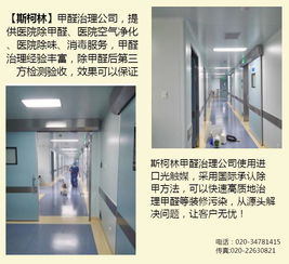 廣州室內(nèi)消毒哪里有 廣州室內(nèi)消毒 斯柯林專業(yè)服務高清圖片 高清大圖