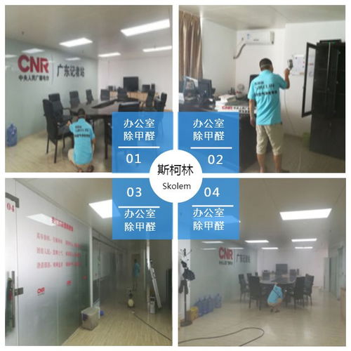 天河除甲醛公司 斯柯林專業(yè)服務(wù)好 番禺除甲醛公司