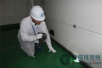滅鼠公司說說工廠滅鼠應該怎么何做?