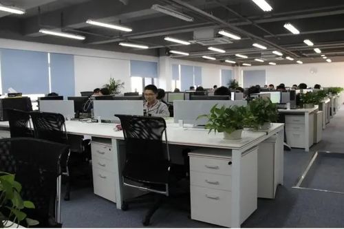 融資公司和沒有融資的公司有哪些不同之處